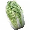 大白菜（绍菜） 3.5-4.5LBS-0
