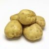 黄土豆 0.9-1.1lbs-0