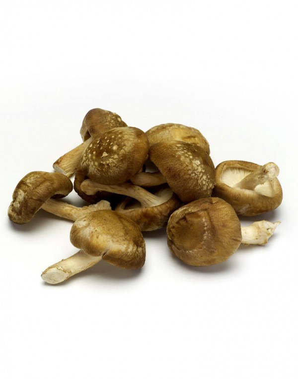 冬菇(香菇) 0.4-0.5lbs-0