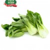 上海苗 （农场自供，有机蔬菜）1.2-1.4lbs-0
