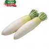 白萝卜（农场自供，有机蔬菜） 1.9-2.25lbs-0