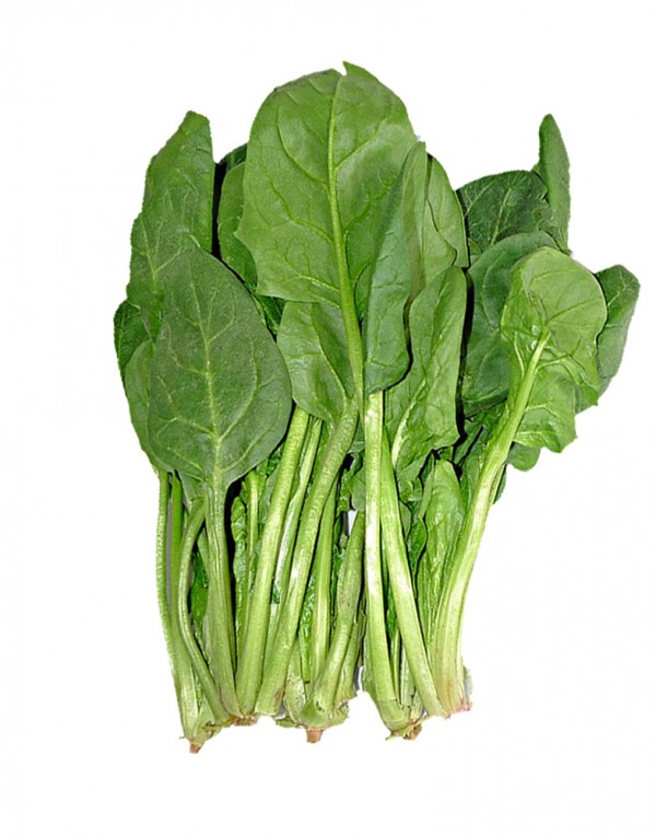 菠菜(散) 0.9-1.1lbs-0