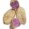 紫番薯 1.8-2lbs-0